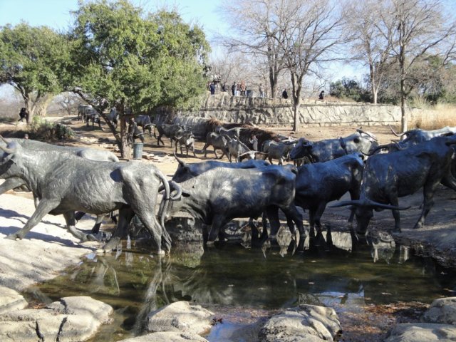 Cattle Drive