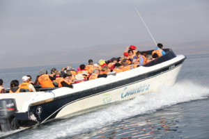 Ballestas Islands