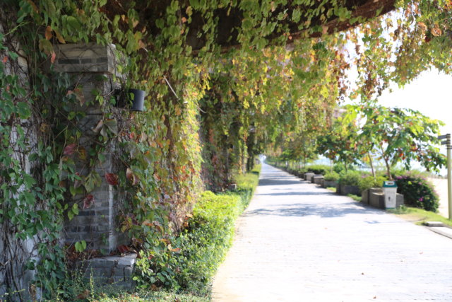 Fuzhou River walkway