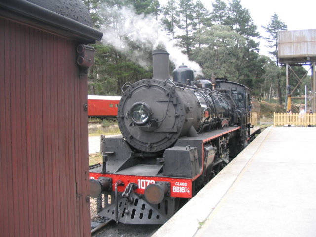 Steam Train