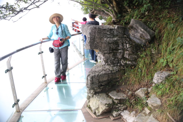 glass walkway