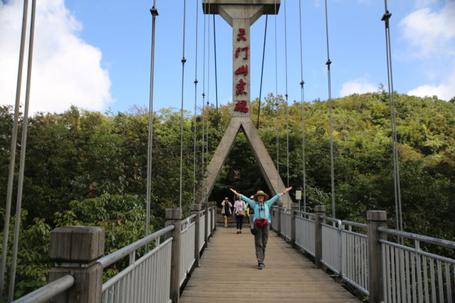 swingbridge2