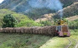 Cane Train Lautaka, Fiji