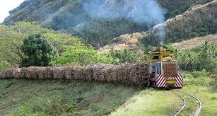 Cane Train Lautaka, Fiji