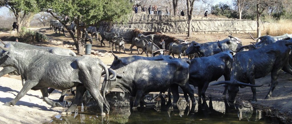 Cattle Drive