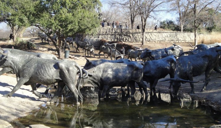 Cattle Drive