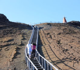 Bartolome Island